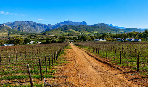 Winelands Tour Photo 8